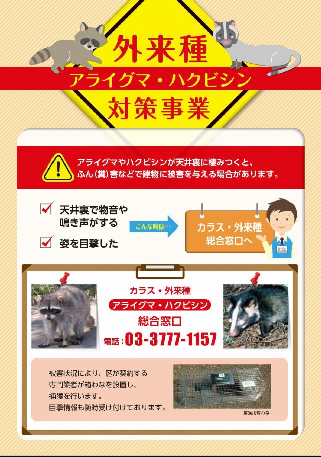 外来種対策事業パンフレット